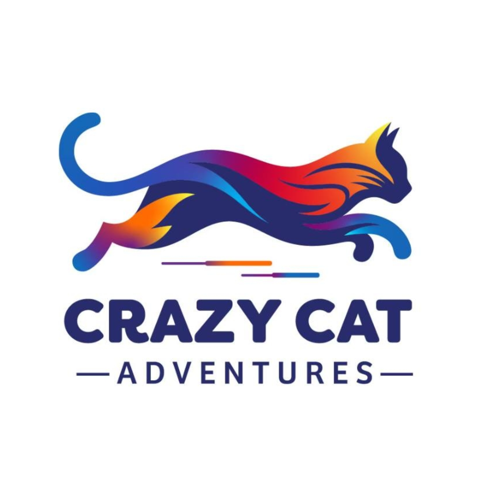 Crazy Cat Adventures